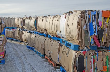 cardboard recycling brighton